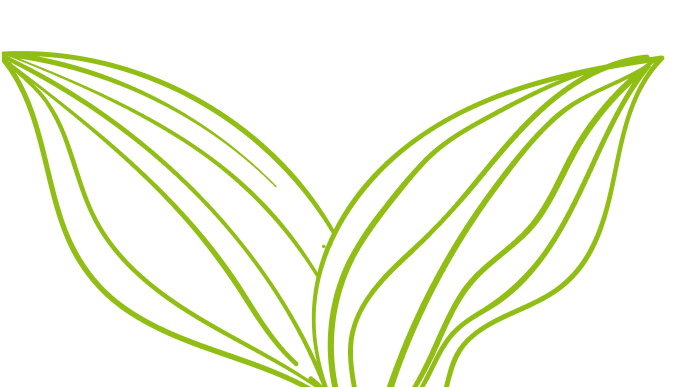 hoja